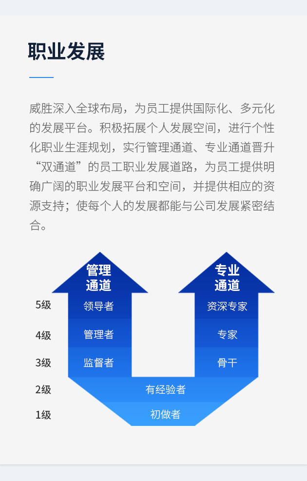 澳门精准24个码