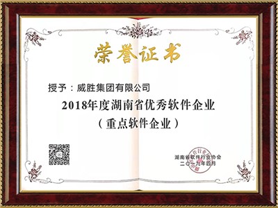 湖南省优秀软件企业（重点软件企业）