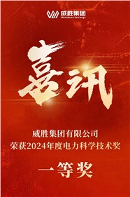 喜讯 | 威胜集团荣获 2024 年度电力科学技术一等奖